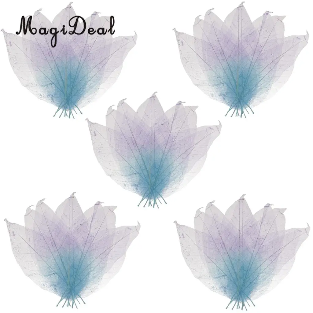 MagiDeal Beautiful 50Pcs Natural Magnolia Skeleton Leaf Leaves DIY Crafts for Scrapbooking Flower Making Lampshades Wall Decor