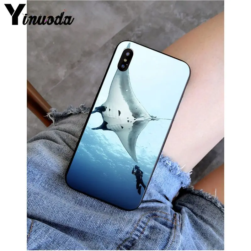 Animal manta ray