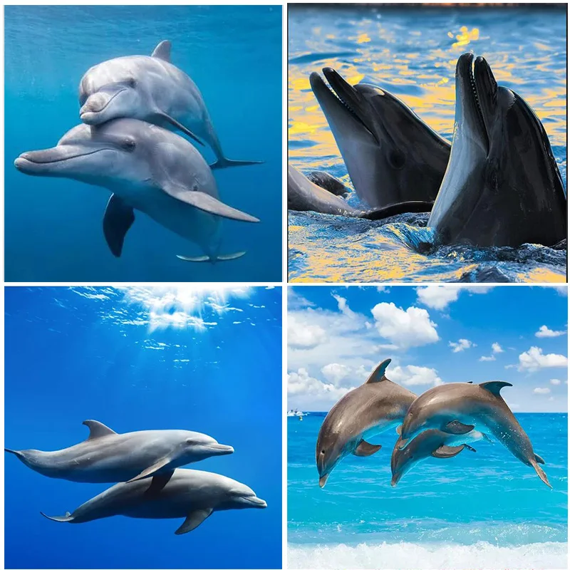 

5D DIY Diamond Painting "Animal Dolphin" Full Round Drill Embroidery Animal Home Decoration Mosaic Crystal Cross Stitch gifts