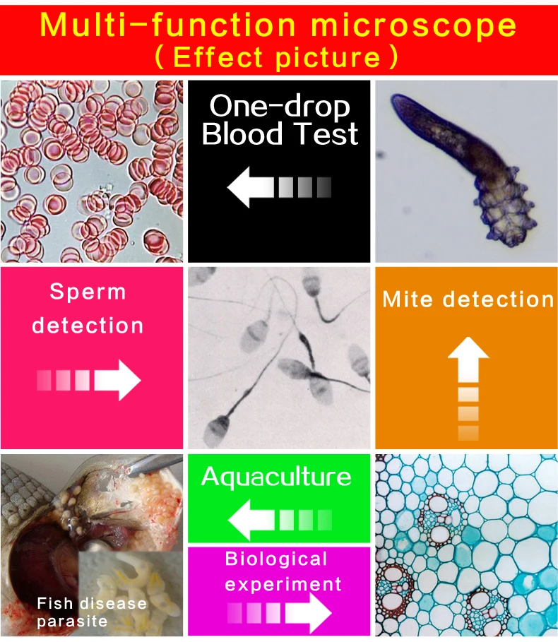 Профессиональный цифровой бинокулярного микроскопа 40-1600X 7-дюймовый ЖК-дисплей экран спермы клещей капли крови, контрольно-измерительный прибор Биологический микроскоп