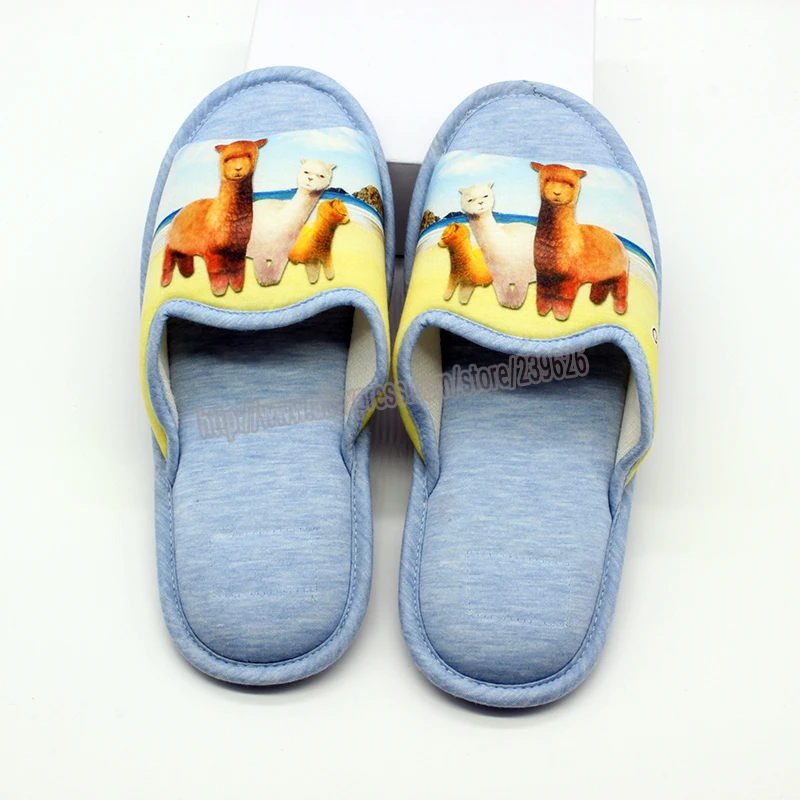 

2016 New Men's Spring And Autumn New Cartoon Anti-Skid Slippers Soft Bottom Floor Men's Indoor Shoes
