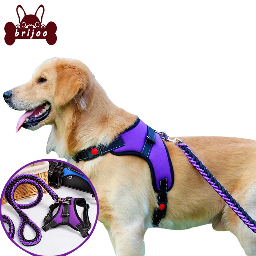 Nylon Heavy Duty Dog Pet Harness Collar for Small Medium Large Dogs