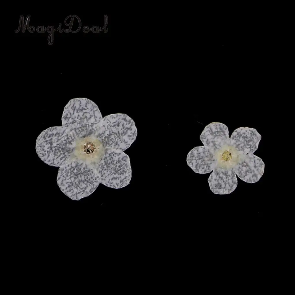 12 Pieces Forget-Me-Not Real Dried Flower Embellishment for Resin Casting Phone Case Nail Art Decoration Blue White