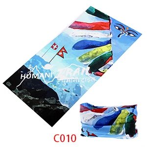 C010-2