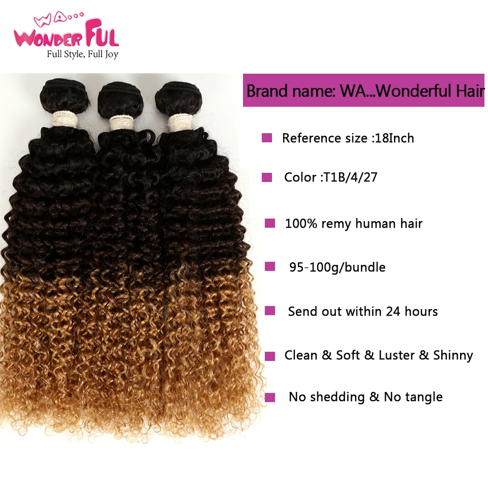Ombre Brazilian Hair Bundles Kinky Curly Human Hair Extensions 8A Ombre Hair Bundles Natural/#1B/#4/#27/#30/99J 1/3/4 Bundles Ombre Brazilian Hair Bundles Kinky Curly Human Hair Extensions 8A Ombre Hair Bundles Natural/#1B/#4/#27/#30/99J 1/3/4 Bundles