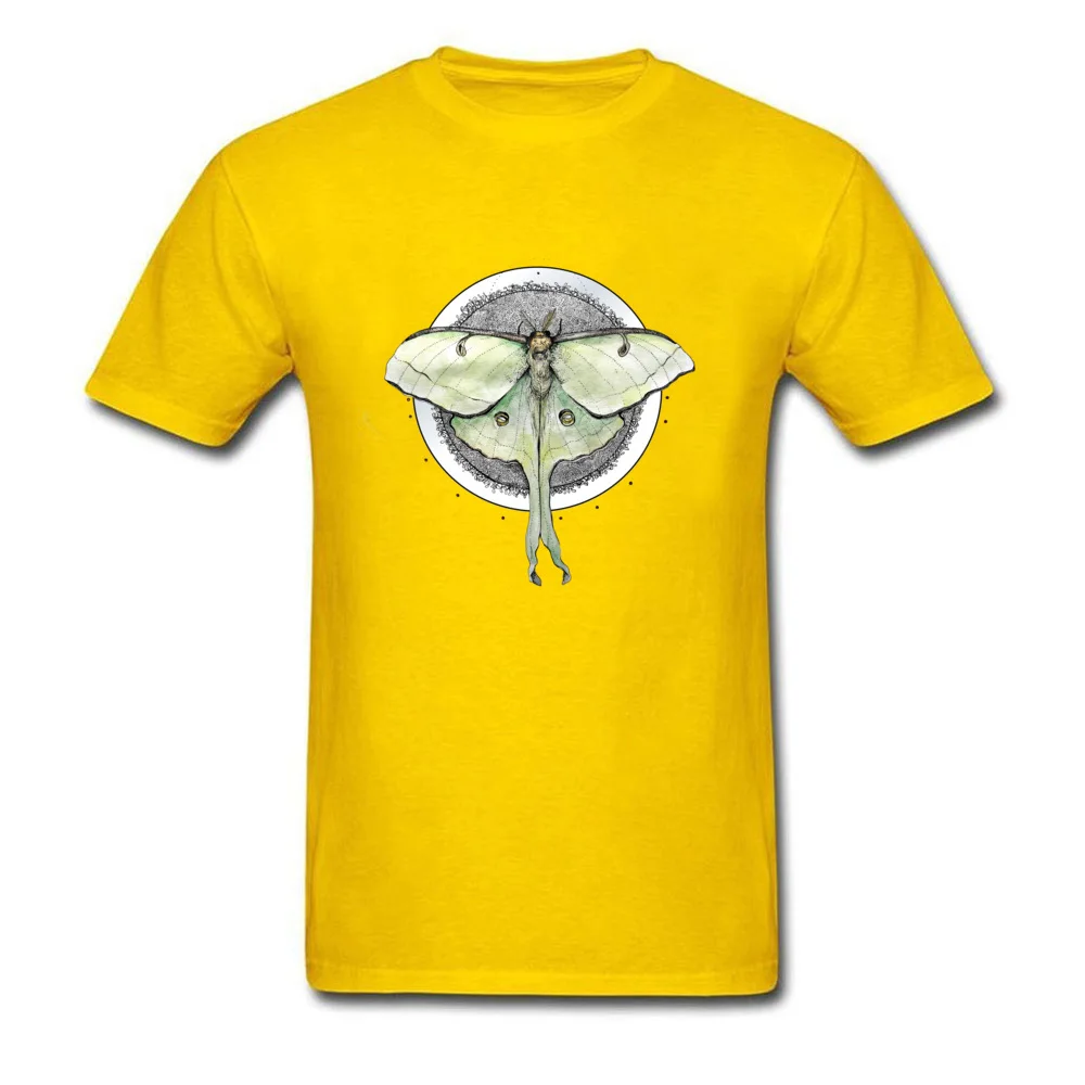 Luna Moth_yellow