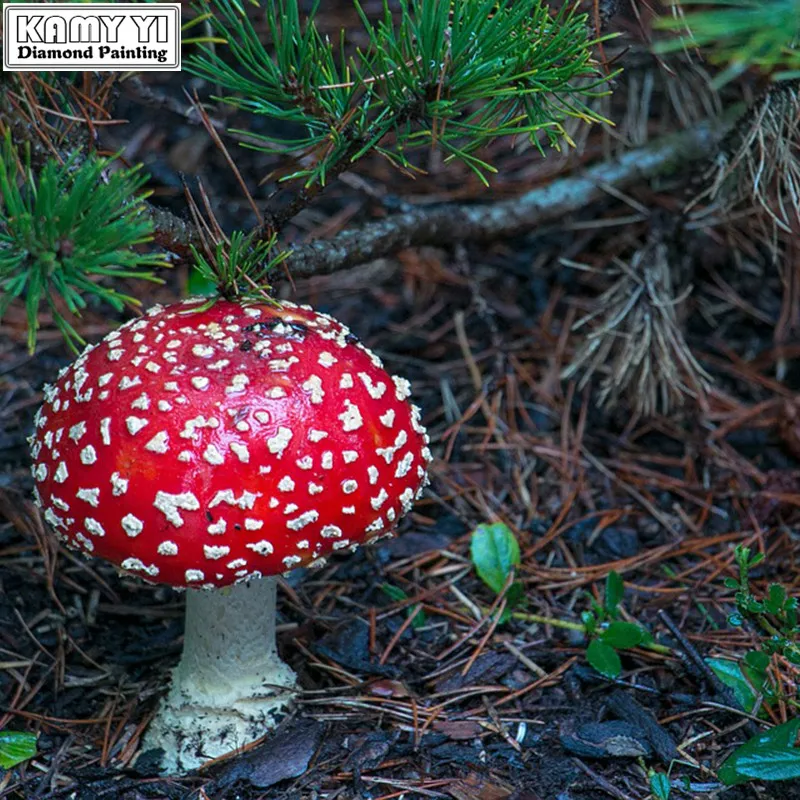 

Diamond Painting Red mushroom Square&Round Drill Rhinestone cross stitch handmade embroider Crafts Holiday gifts LWR