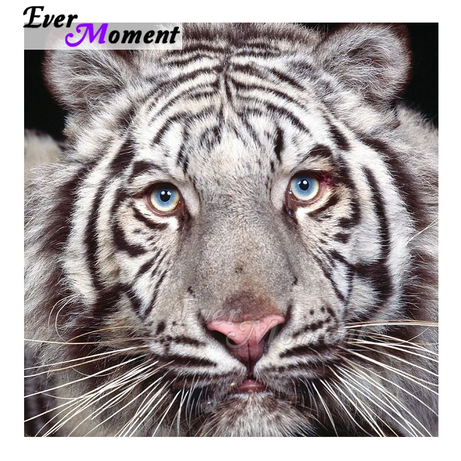 Ever Moment Diamond Painting Handmade Full Square White Tiger 5D DIY Picture Of Rhinestone Hobby Art Embroidery 3F1606 | Дом и сад