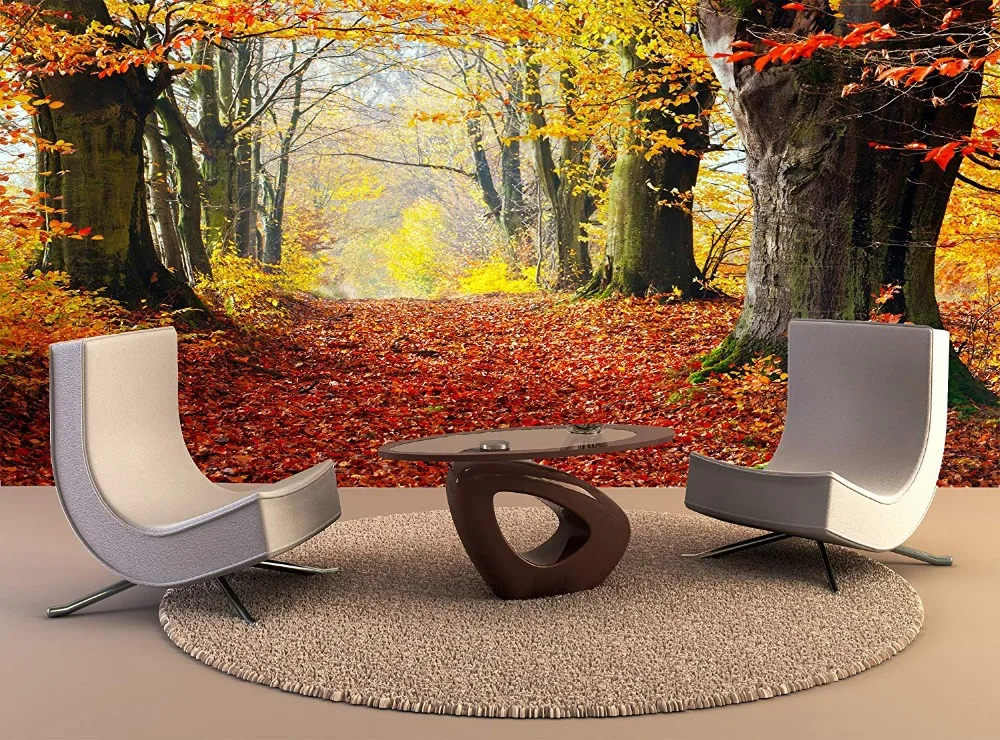 Buy Custom Wallpaper Murals Autumn Fall Forest Path