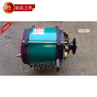 

Auto generator 14V DC generator 500W watt 12V battery charging AC motor