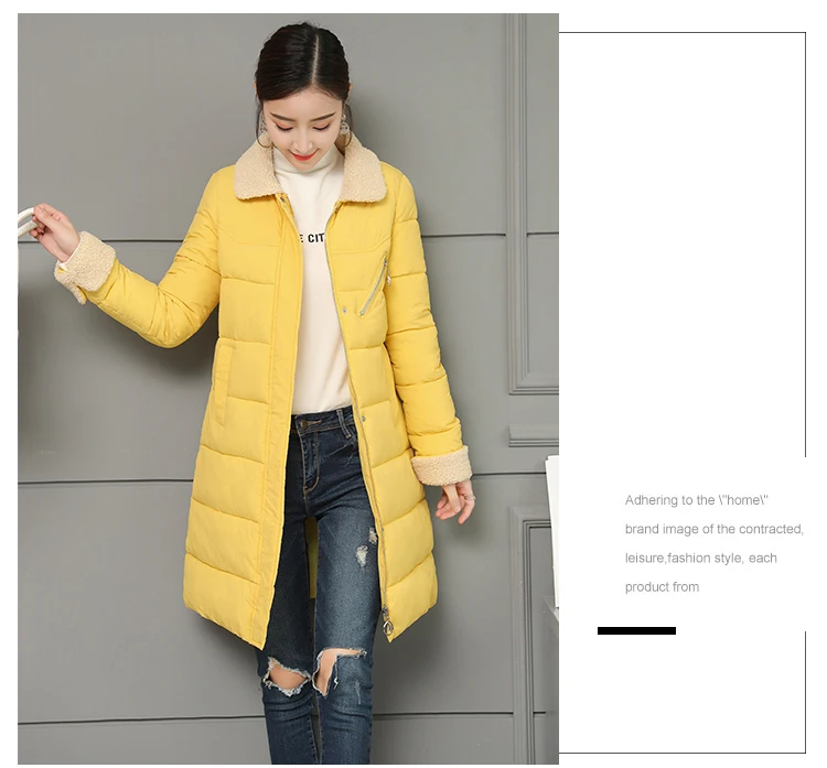 Women Jacket Winter Coats Long Outwear Jackets Cotton Padded Clothing Zipper Warm Winter Jacket 2018 Korean Ladies Coat CH642 (13)