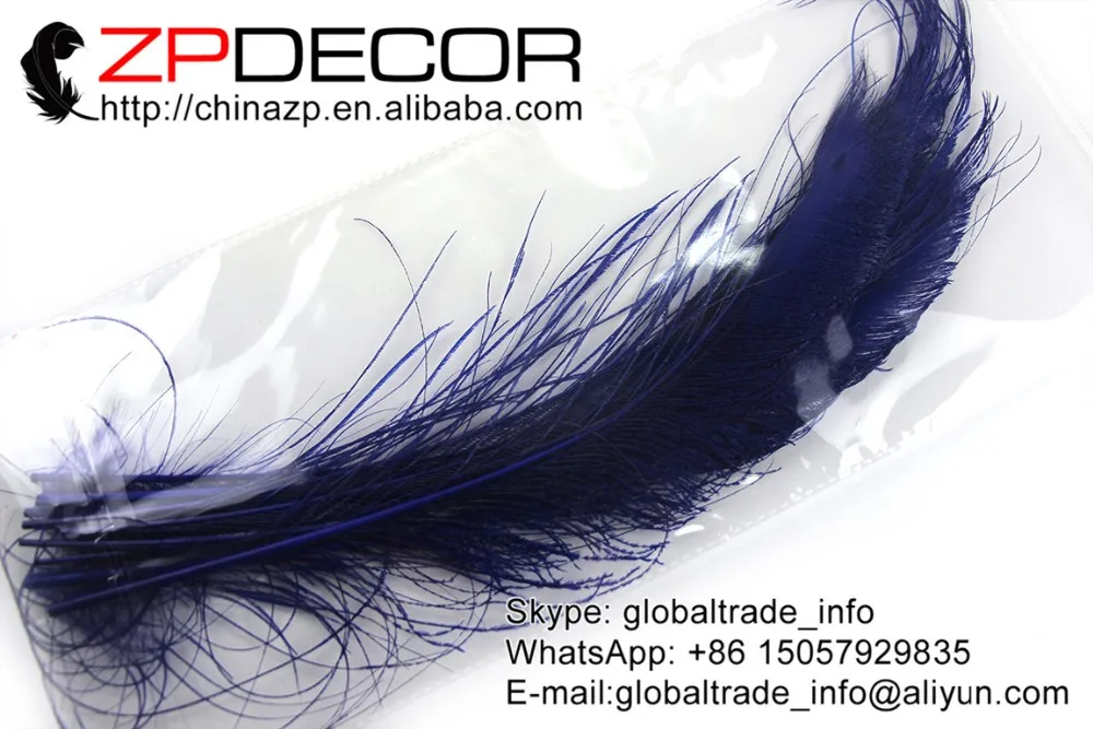 Royal blue peacock swords feathers (7)