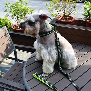 

Dog Reflective Leash Nylon Pet Leash Rope For Small Medium Dogs Soft Pet Walking Leashes Chihuahua Pitbull