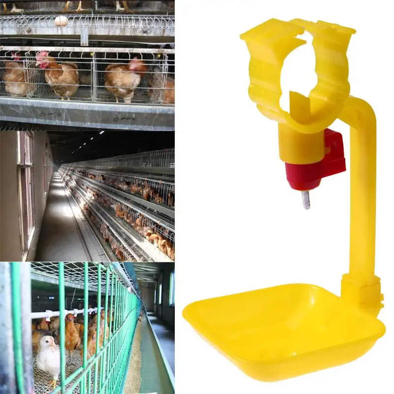 HTB1cD3zfBjTBKNjSZFNq6ysFXXaQ