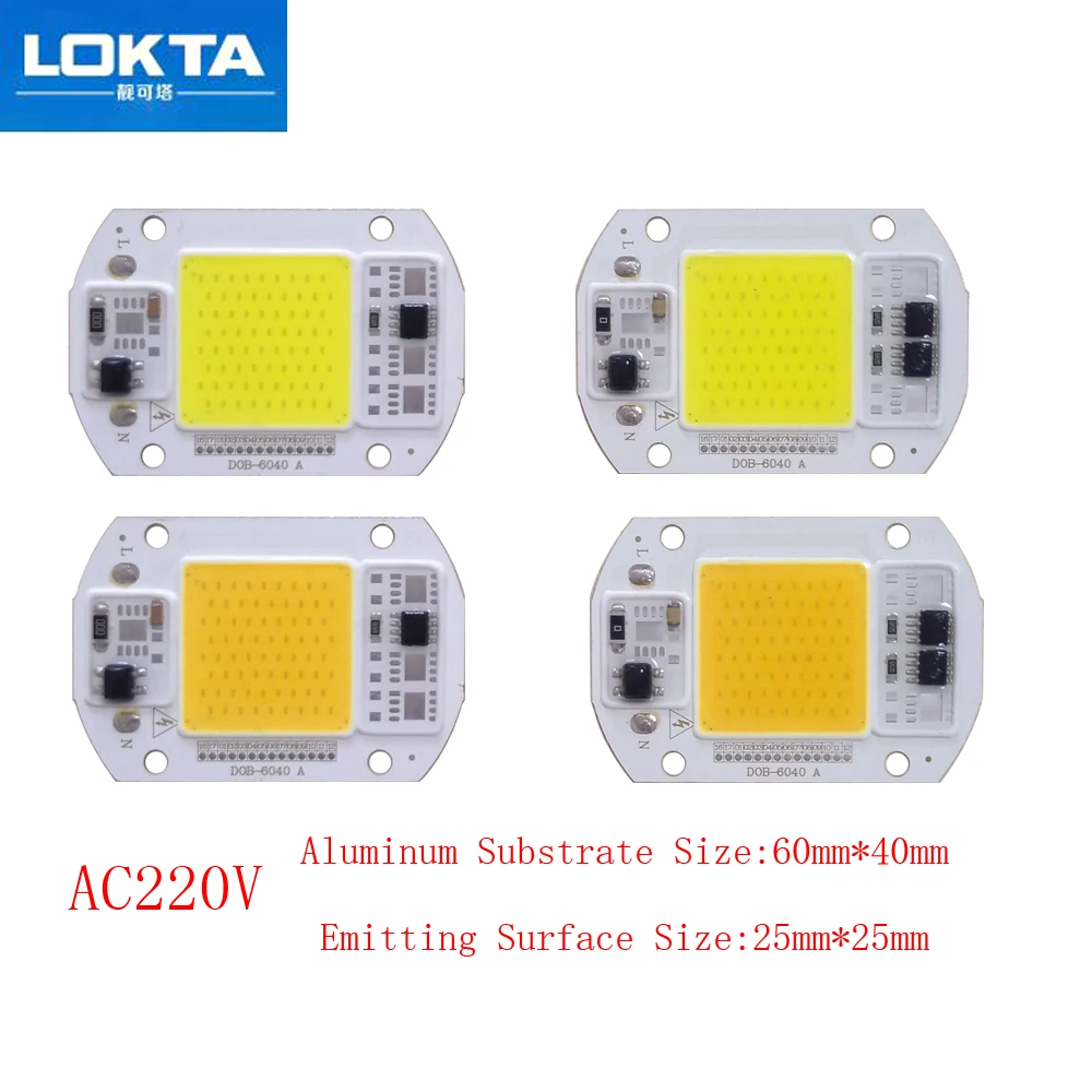 

10PCS/LOT COB LED Lamp Chip 15W 25W Bulb 220V Smart IC Driver Cold Warm White light beads for diy Spotlight Floodlight
