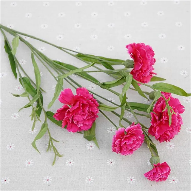 100pcs long stem carnation 26.77