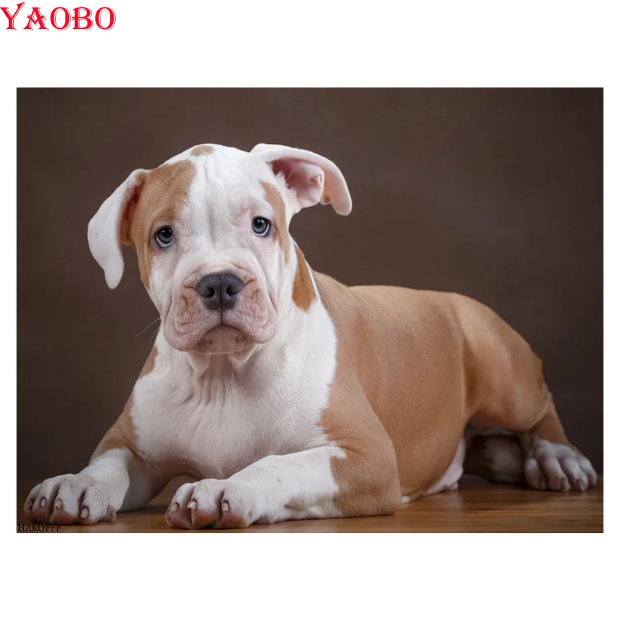 5d diy full drill square diamond embroidery american bully pitbull
