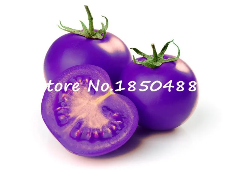 HTB1ng9XJXXXXXcBXFXXq6xXFXXXN.jpg?size=6