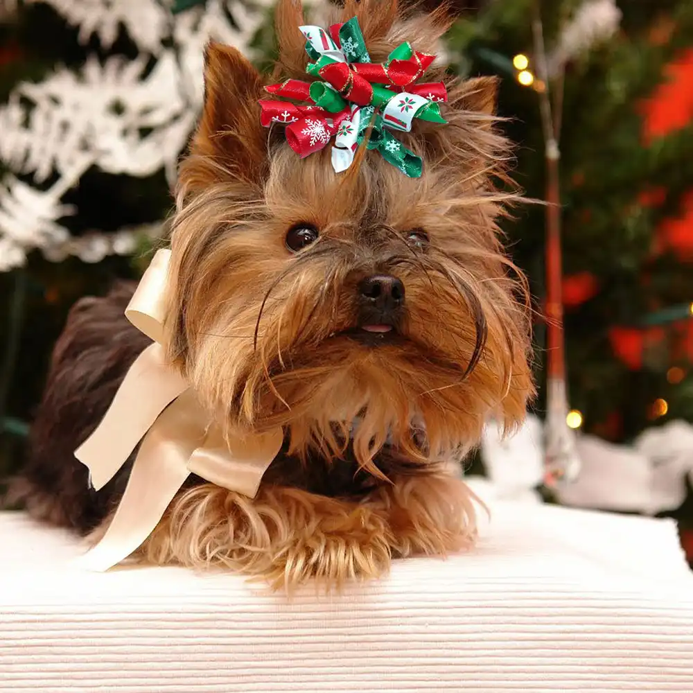 10pcs Christmas Dog Hair Bow Handmade Fashion Hair Bowknot