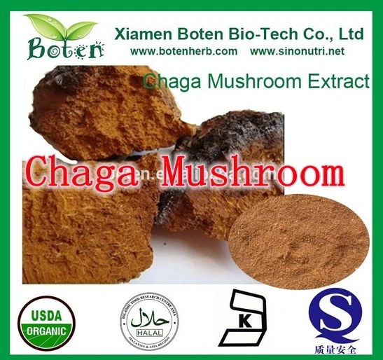 

250gram Chaga Mushroom(Bai Hua Rong ) Extract Powder 30% Polysaccharide powerful anti-oxidant