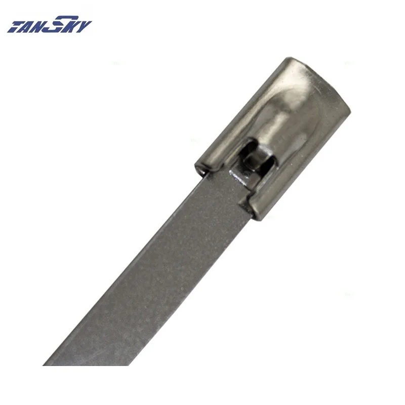 EP-ZS100-K79 2