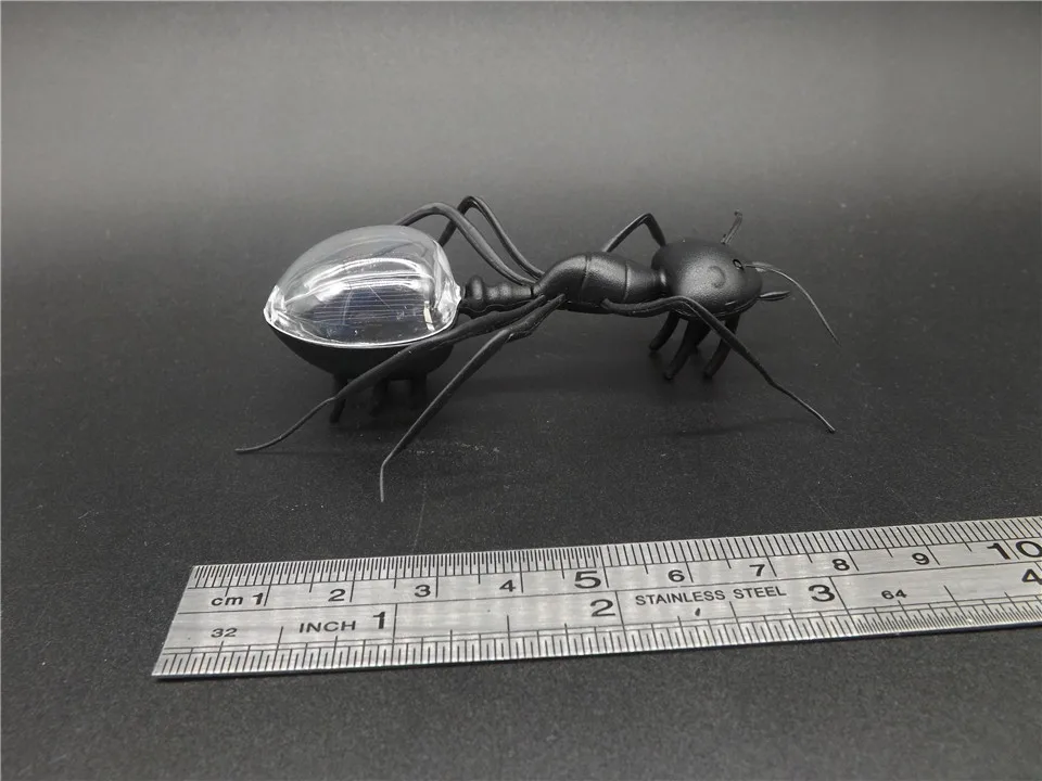 Solar-Ant-Black   (5)