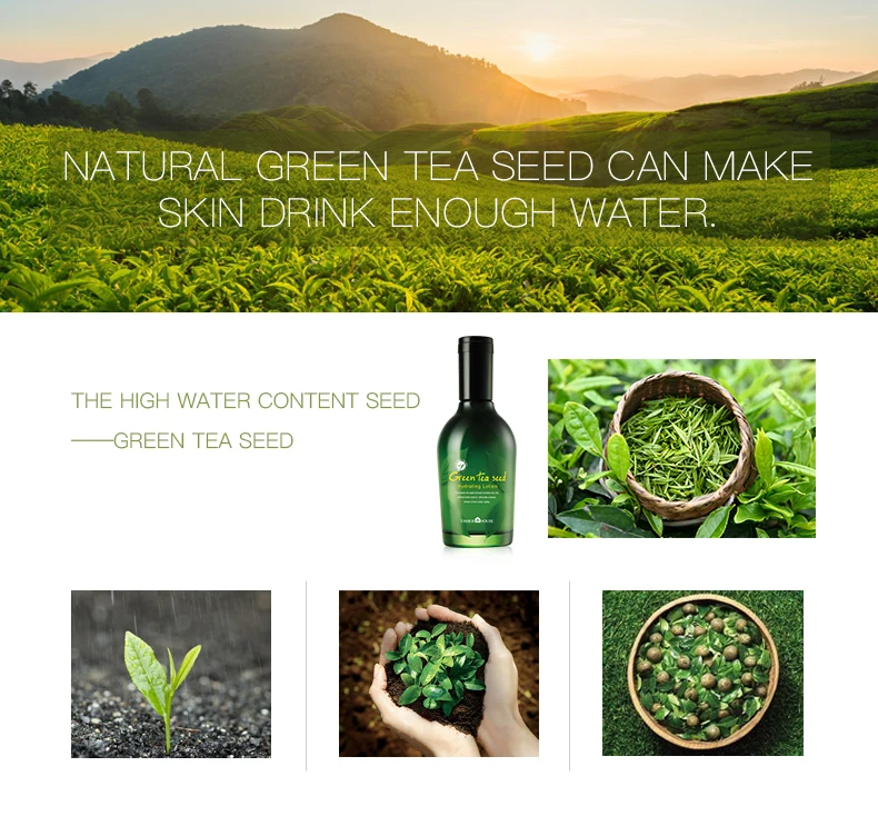 绿茶籽水分菁华乳液-速卖通_03