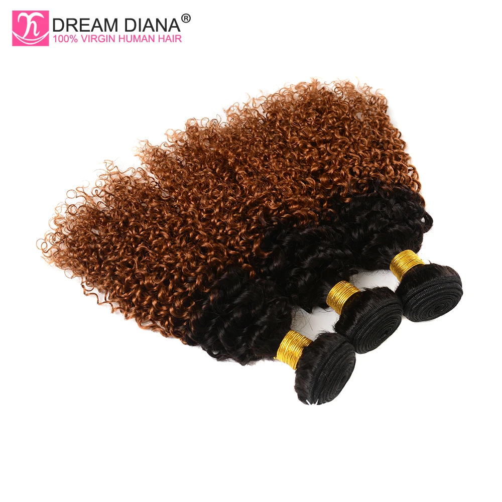 DreamDiana Ombre Pelo Rizado paquetes dos colores 1B 30 Ombre pelo indio 1/3/4 paquetes Remy Ombre entrega exprés de cabello humano marrón DreamDiana Ombre Pelo Rizado paquetes dos colores 1B 30 Ombre pelo indio 1/3/4 paquetes Remy Ombre entrega exprés de cabello humano marrón