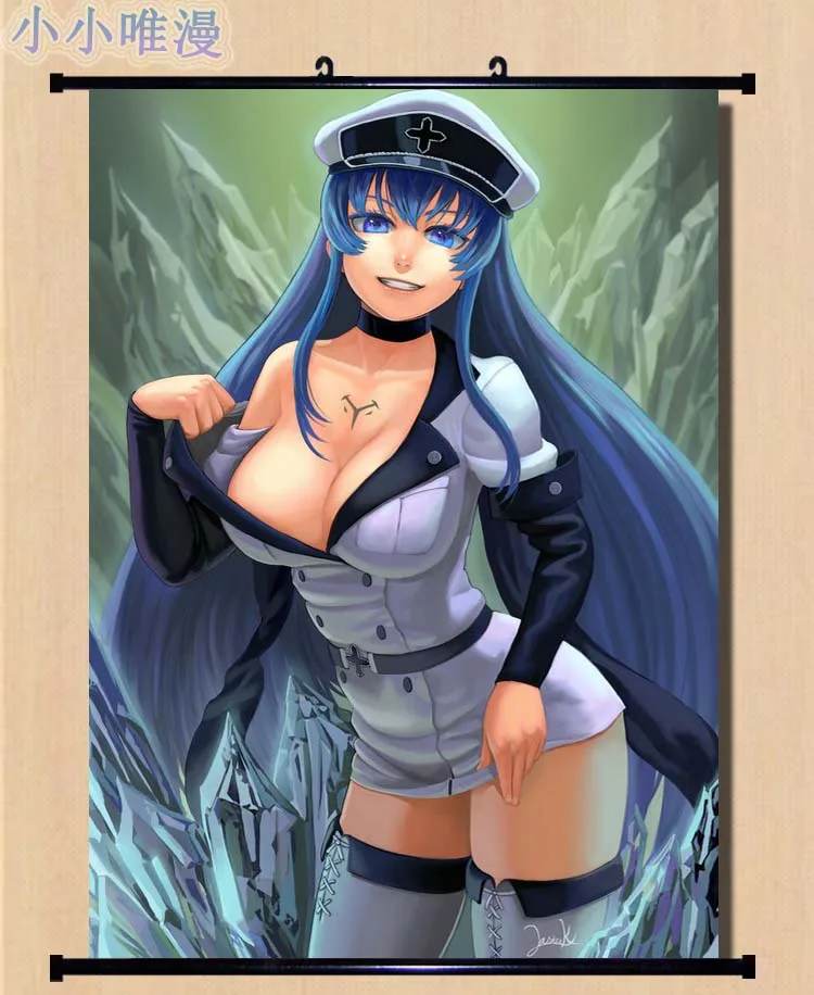 Японское аниме Akame ga KILL! Персонаж сексуальная девушка Esdese Esdeath домашний декор