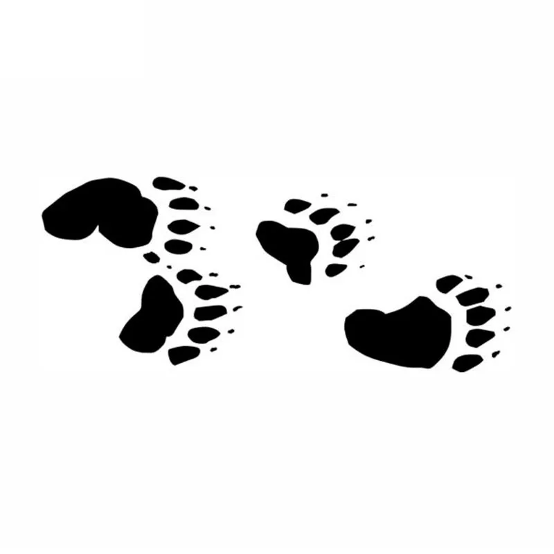 7015 Details about   Bear Track Bear Paw Print Decal Bear Track Hunting Sticker 