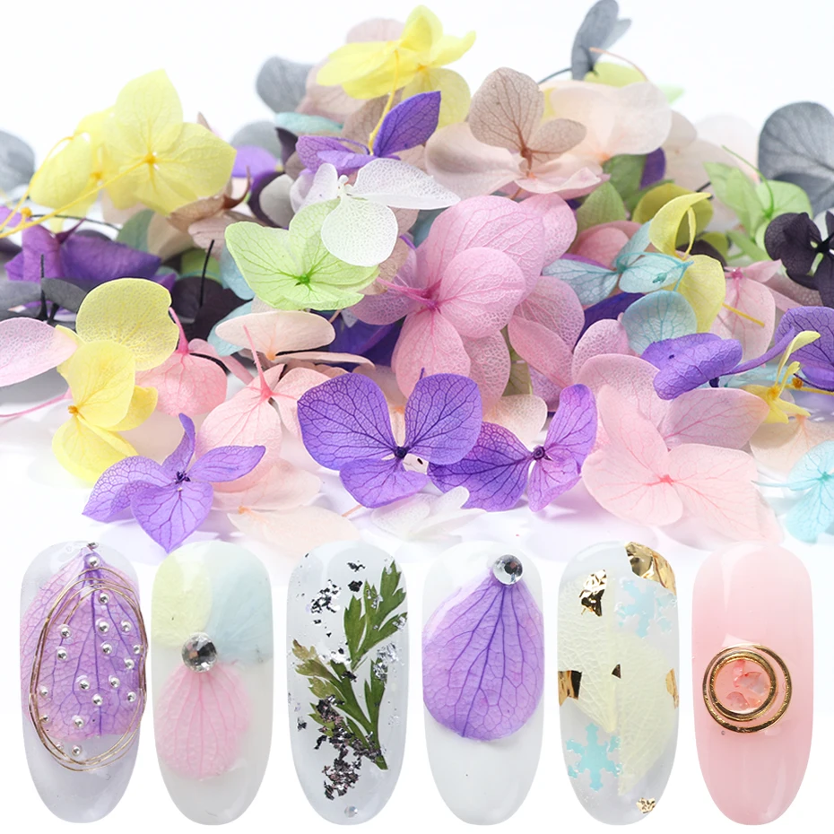 Mixed Dried Flowers Nail Art Decoration Colorful Natural Blossom Floral Stickers 3D Summer Designs Manicure Accessories SA1505