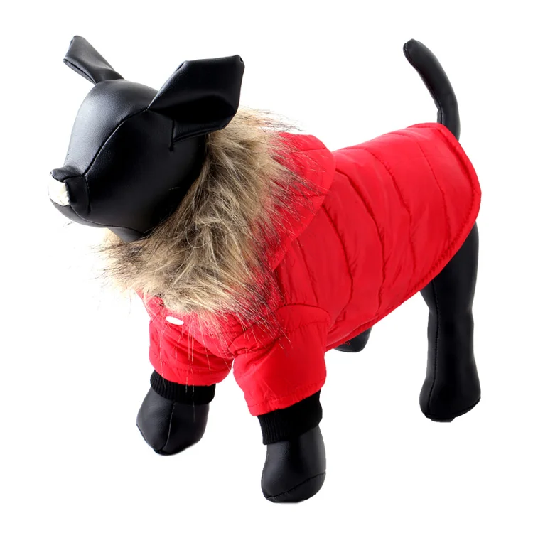 winter dog clothes