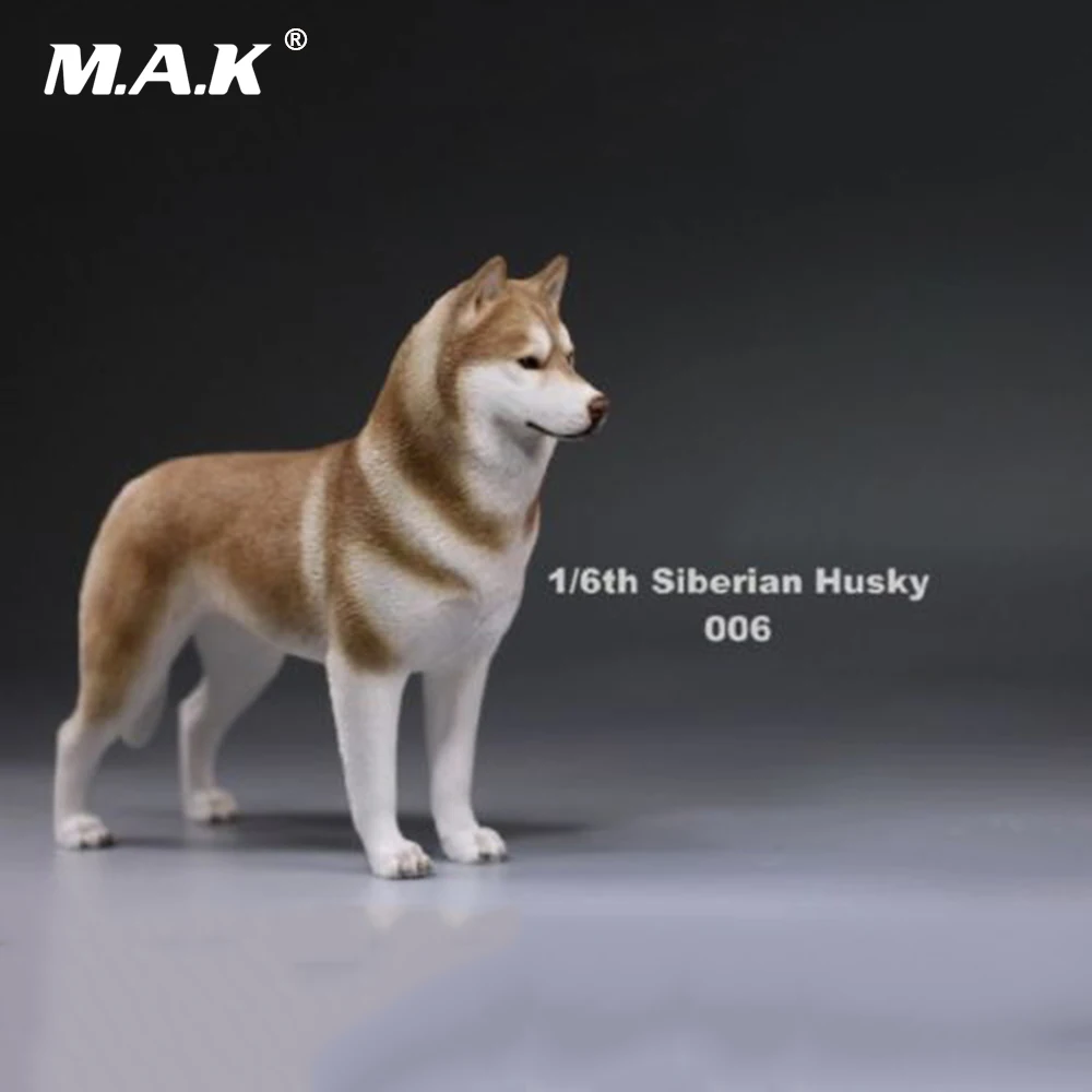 В наличии 1/6(12 &quot) модель собаки фигурку аксессуар 1:6 Сибирского Хаски