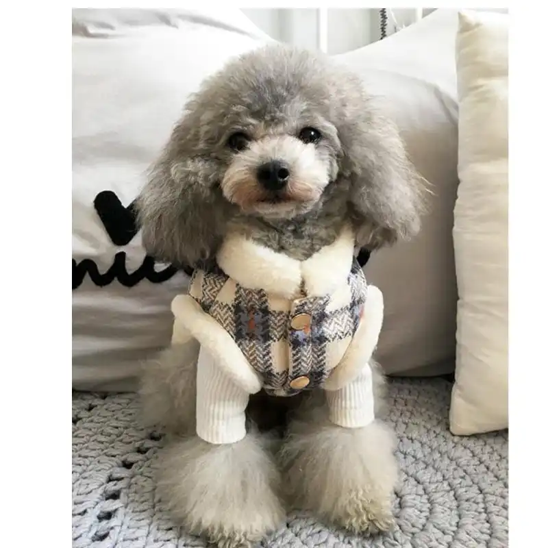 Manteau pour bichon Clearance