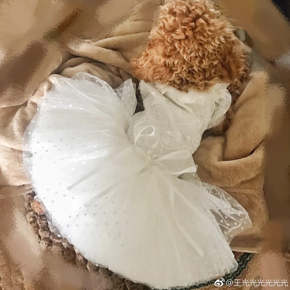 Усовершенствованное изготовление на заказ, роскошное собачье свадебное платье, 3D Цветочный Воротник, одежда принцессы, 12 слоев, ropa perro mascotas
