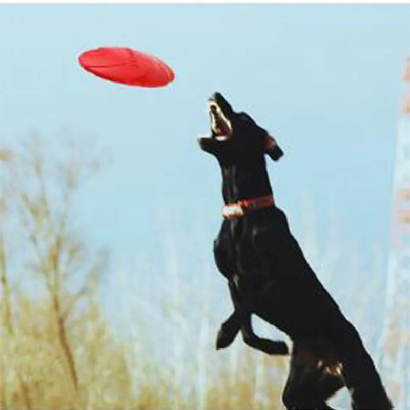 2019 أفضل بيع الحيوانات الأليفة الكلب لعب مضحك التفاعلية جديد كبير الكلب تحلق أقراص التدريب جرو لعبة المطاط جلب تحلق Disc15cm 18c