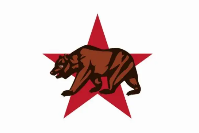 

3x5ft custom Calfonia bear with big star flag for adverting,festival,activity custom hobby business history flag