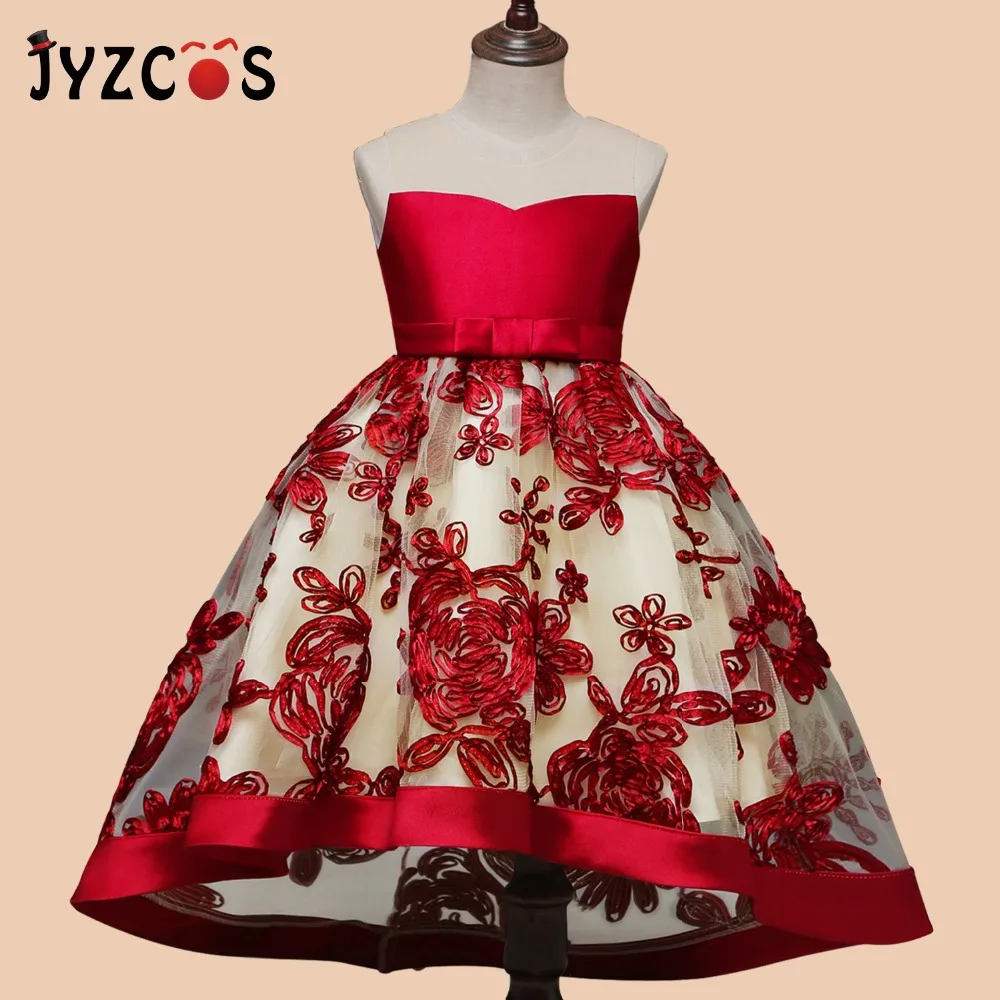 Baby Girl Princess Dress (3)