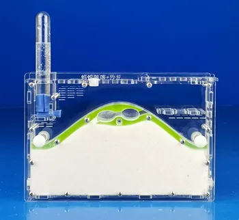 

New ant hill Transparent Acryl Ant Farm,Natural Ecological Insect Ant House SandCastle Ants Nest, pet mania for house ants