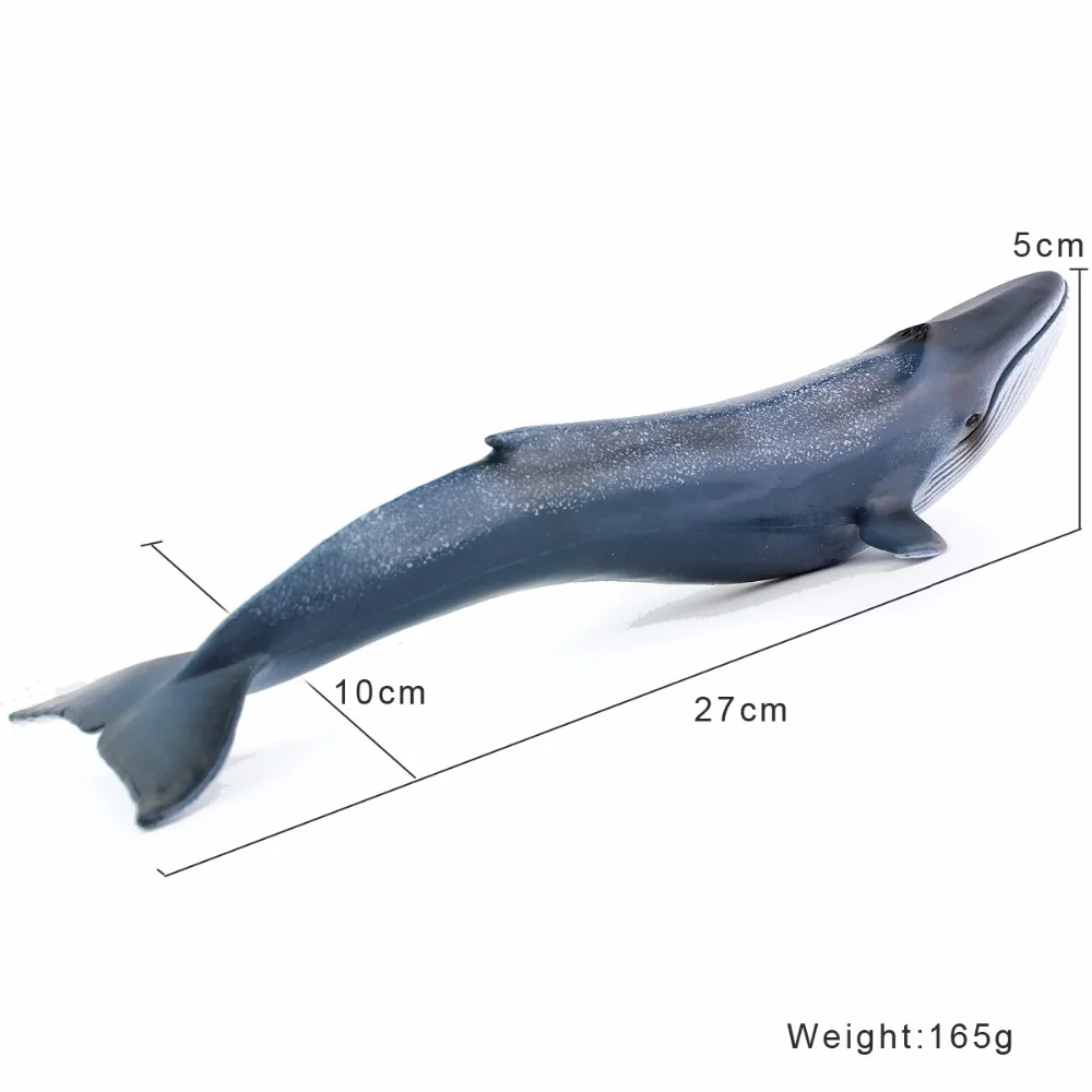 Bubles Wall Sea Life Marine Animals Blue Whale High Quality Action Figure Toy Ocean Animal Model For Kid Gift Bubles Wall Sea Life Marine Animals Blue Whale High Quality Action Figure Toy Ocean Animal Model For Kid Gift