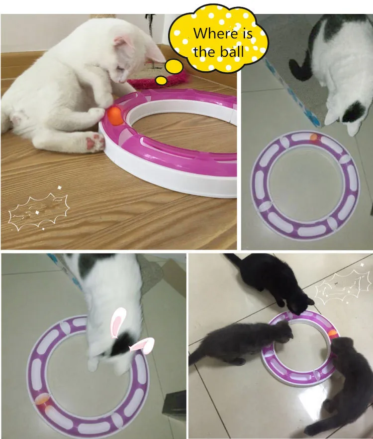 Free Shipping Kitty Cat Dog font b Pet b font Baby Track New font b Pet