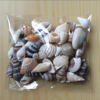 HappyKiss Lot Of Funny Mixed Sea Shells Shell Craft Aquarium Nautical Decor Ornaments natural mini conch mediterranean 1