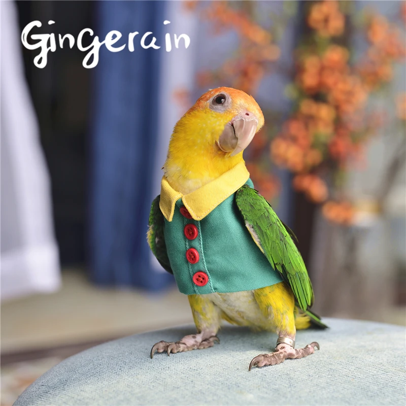 Gingerain одежда с птицами попугай одежда кнопка рубашка оригинальная ручная работа на заказ одежда с птицами пуговица рубашка