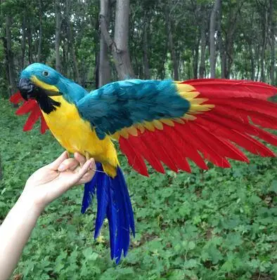 

large 45x60cm colourful feathers parrot spreading wings artificial bird model handicraft prop,home garden decoration gift p2122