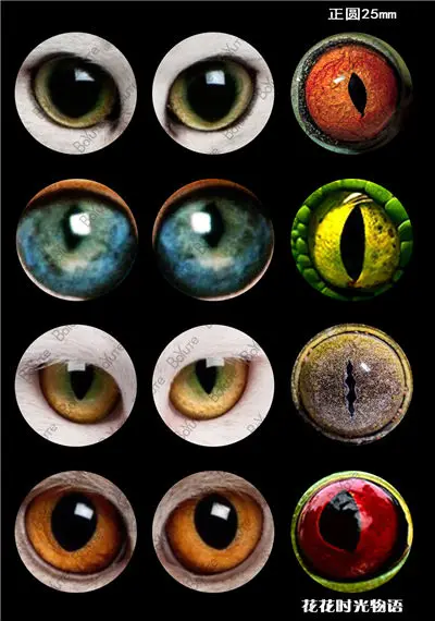 BoYuTe Новое поступление 12 шт 25 мм кабошон микс изображения глаз животного круглый стеклянный кабошон - Цвет: c0117
