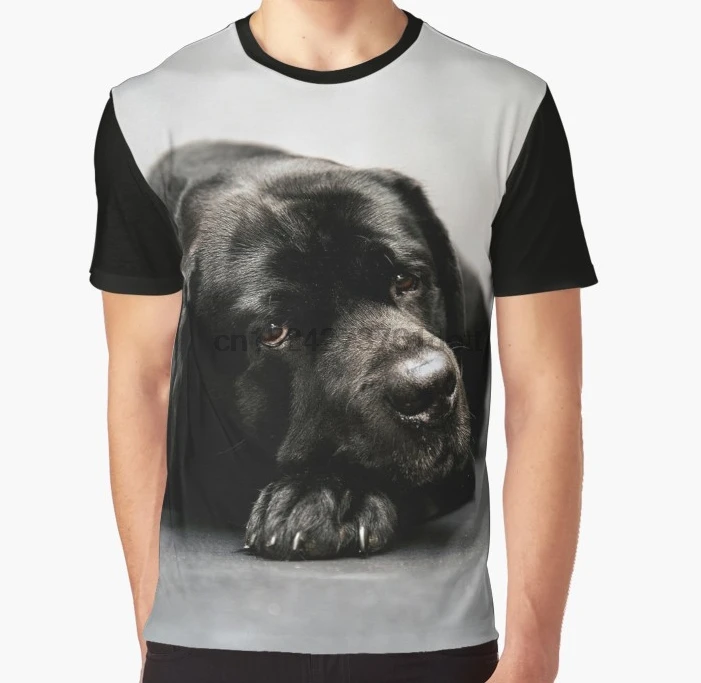 

All Over Print 3D Women T Shirt Men Funny tshirt lovely Labrador Retrievers Graphic T-Shirt