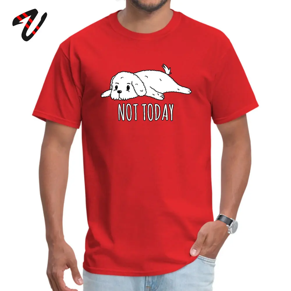 BichonFriseNotToday 100% Cotton Design _black Tops & Tees Faddish Short Sleeve Mens Tshirts Unique Summer Tee-Shirt Crew Neck Bichon-Frise-Not-Today190620 red