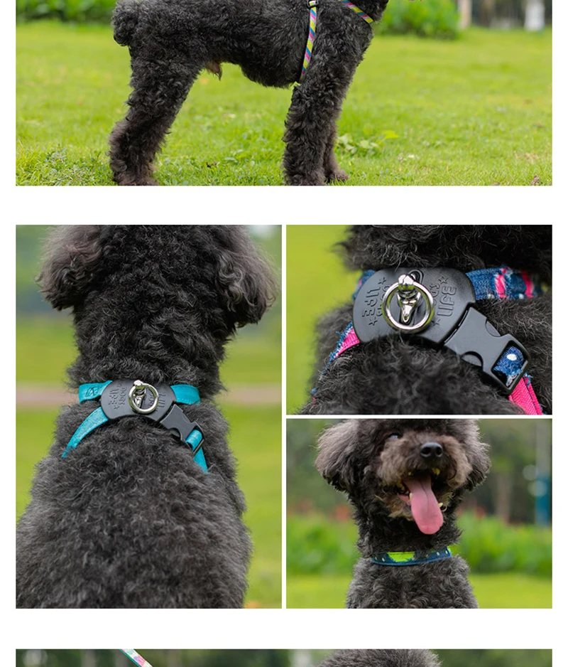 puppy collar set (9)