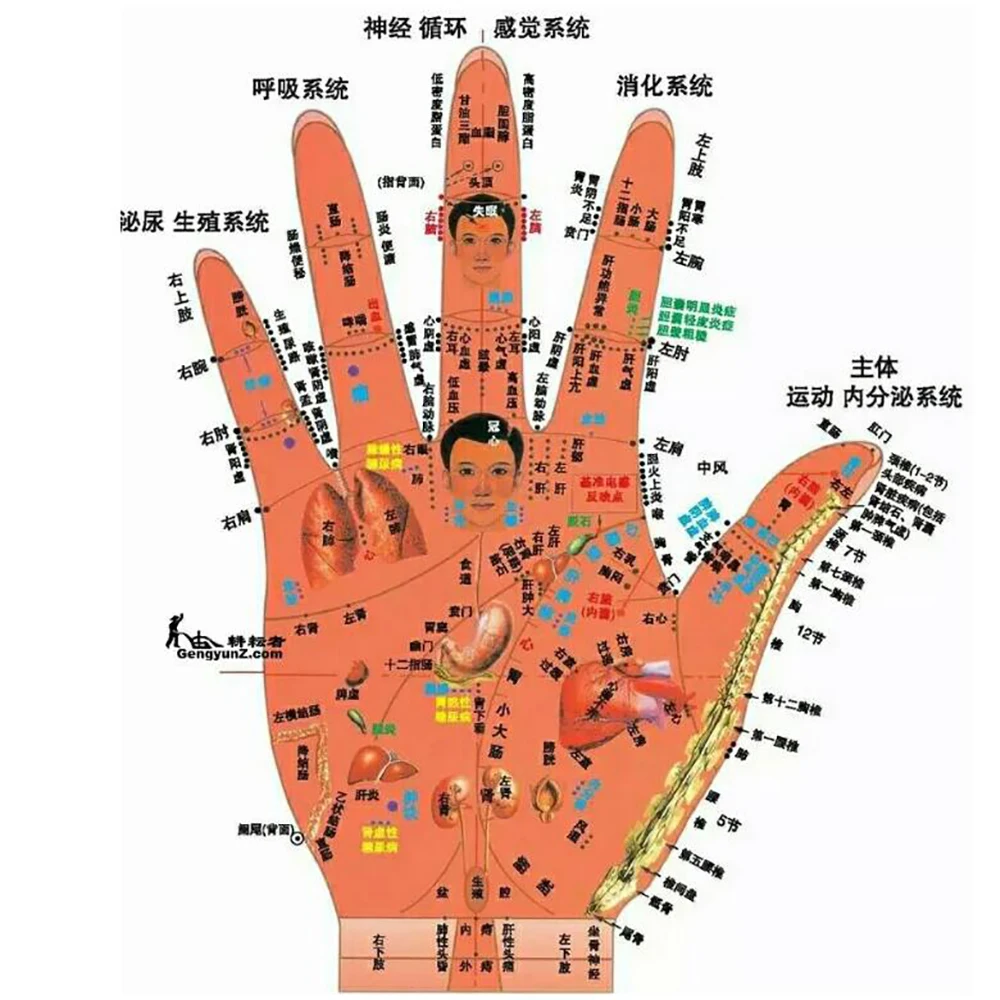 Терапия палец массажное Кольцо Иглоукалывание Кольцо забота о здоровье массажер для тела Релакс массаж рук палец для похудения массажные инструменты