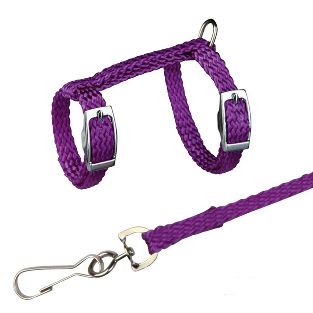 TAILUP Reptile Harness Hamster Chest Strap Leash Small Pet TAILUP Reptile Harness Hamster Chest Strap Leash Small Pet